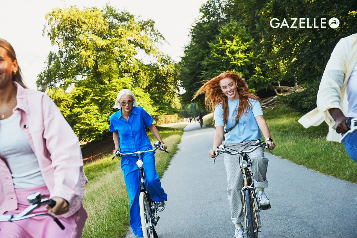 Gazelle's bikes