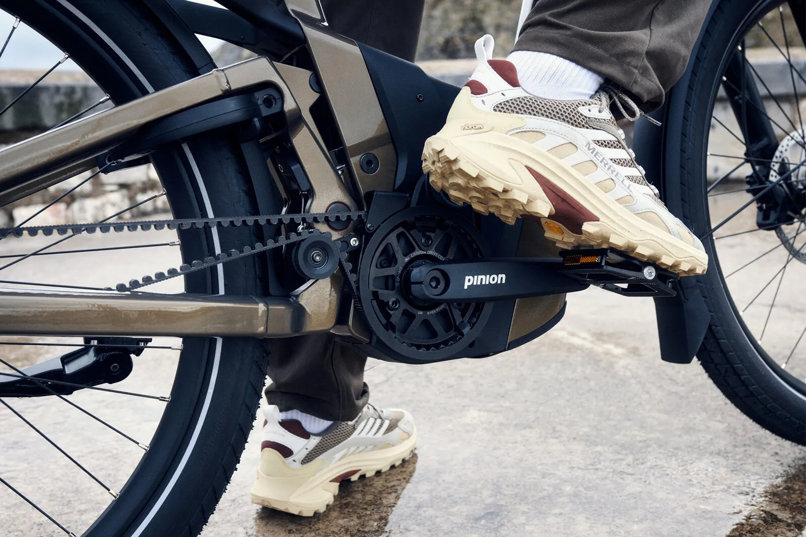 Close-up of the Delite5 Pinion gearbox and Gates carbon belt drive system.