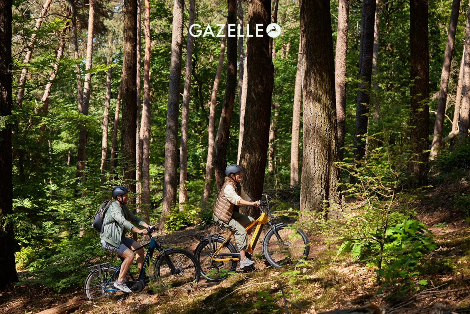 Close-up of Gazelle Medeo e-bike showing frame design and components.