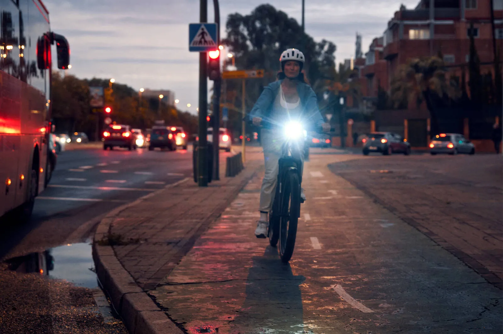 Riese & Müller Charger5 Mixte vario showing the accessible step-through design.