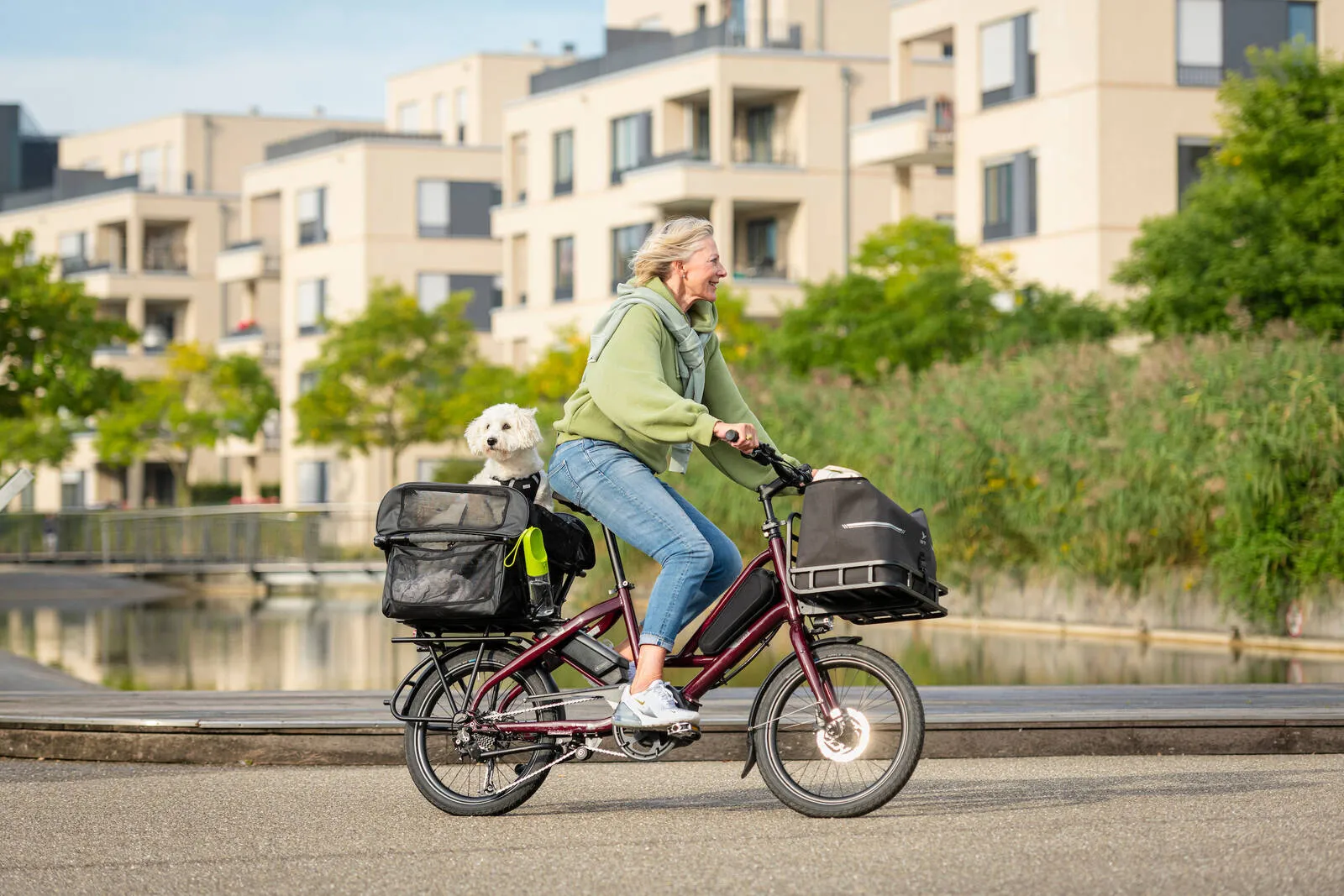 A lady riding a Tern Quick Haul with her dog in the rear carrier