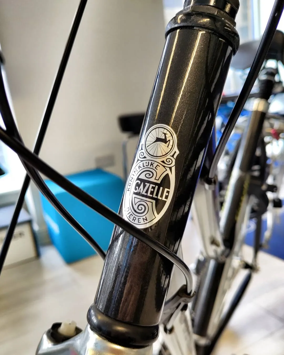 Discover how our Lancaster bike shop breathed new life into a classic Dutch Gazelle bike. Expert service for quality utility bicycles built to last.
